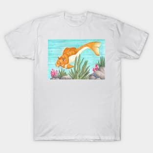 Koi Ratfish T-Shirt